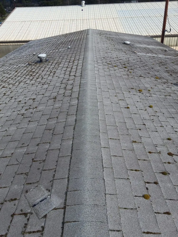 Slide of Brandon Allen