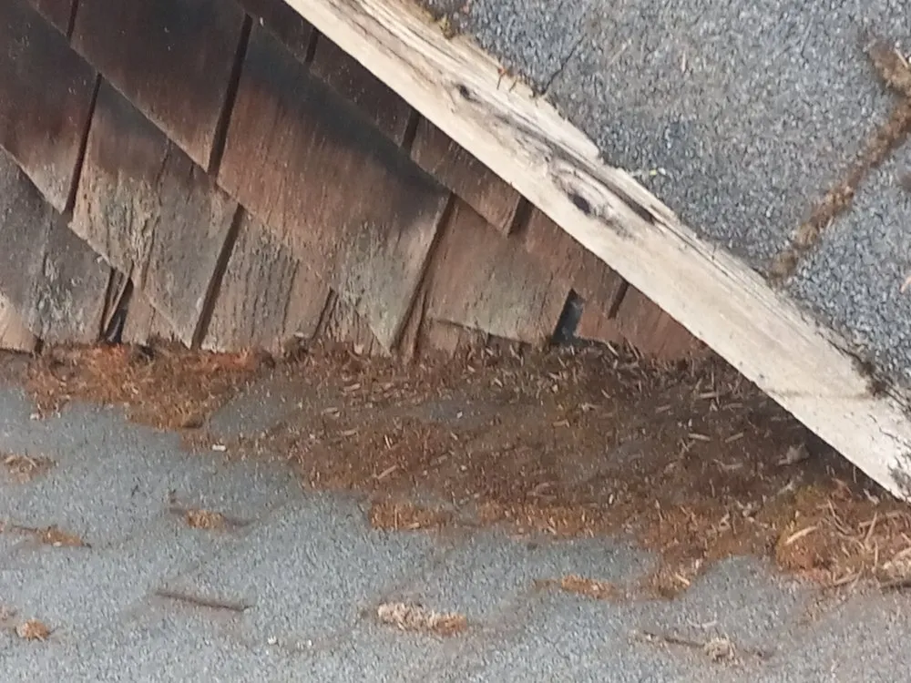 Slide of Brandon Allen