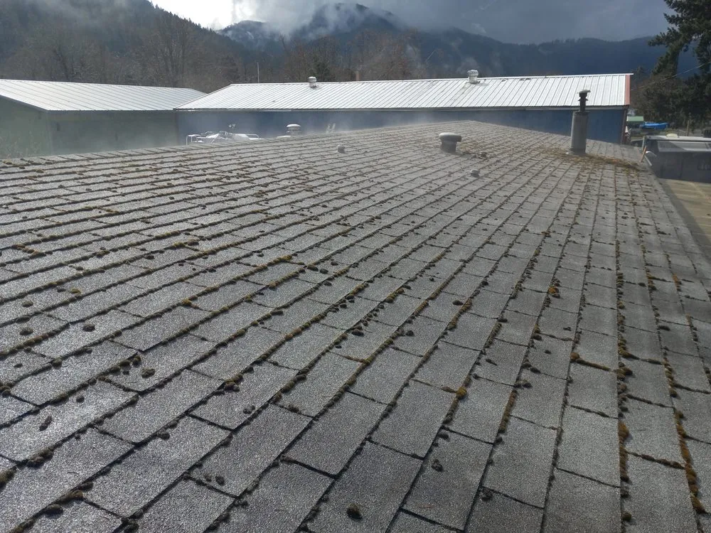 Slide of Brandon Allen