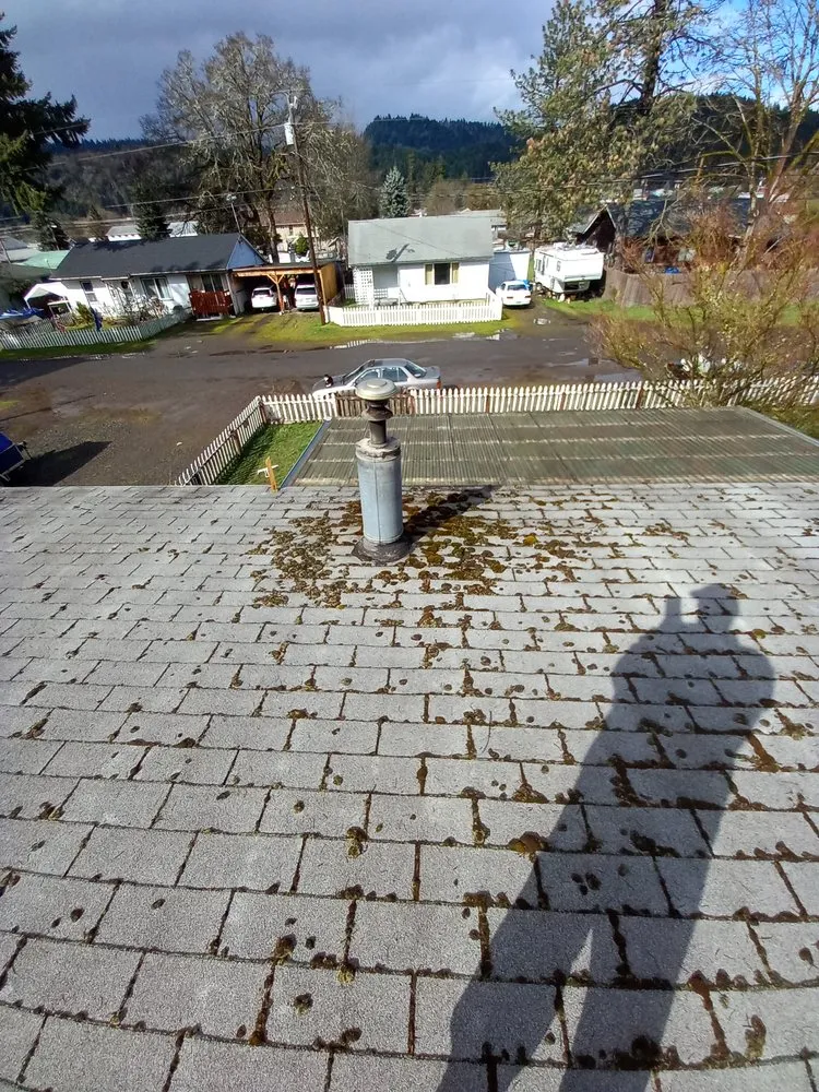 Slide of Brandon Allen