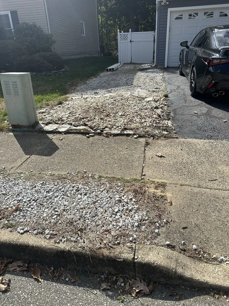 Slide of Brandts Tree service