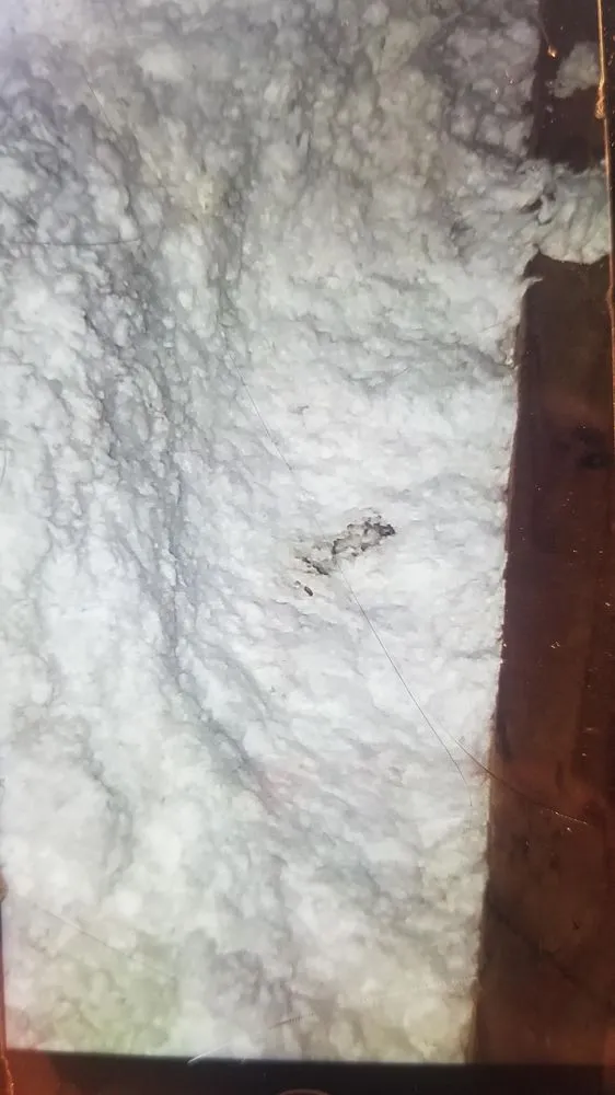 Slide of Braun's Roofing