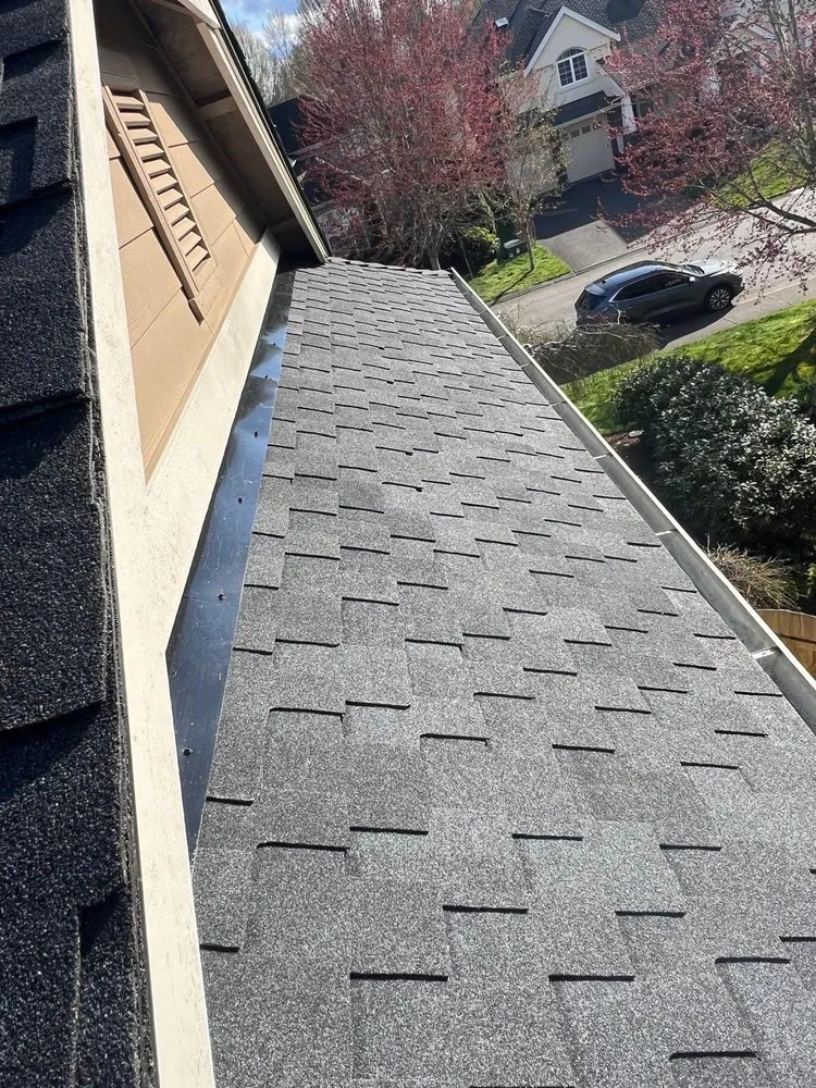 Slide of Brave Roofers