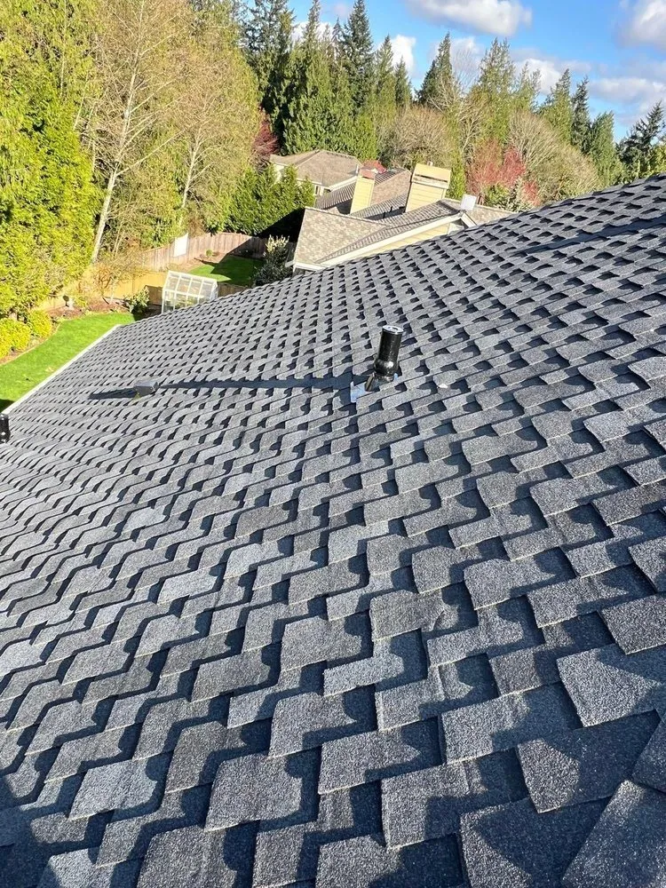 Slide of Brave Roofers