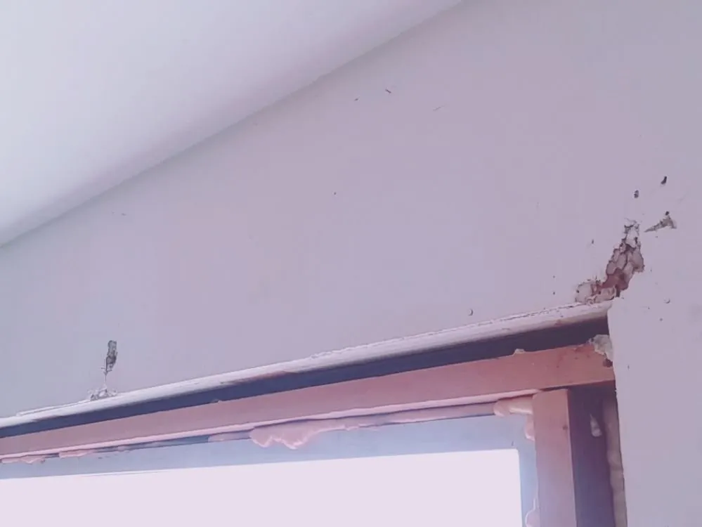 Slide of Bravo Builders