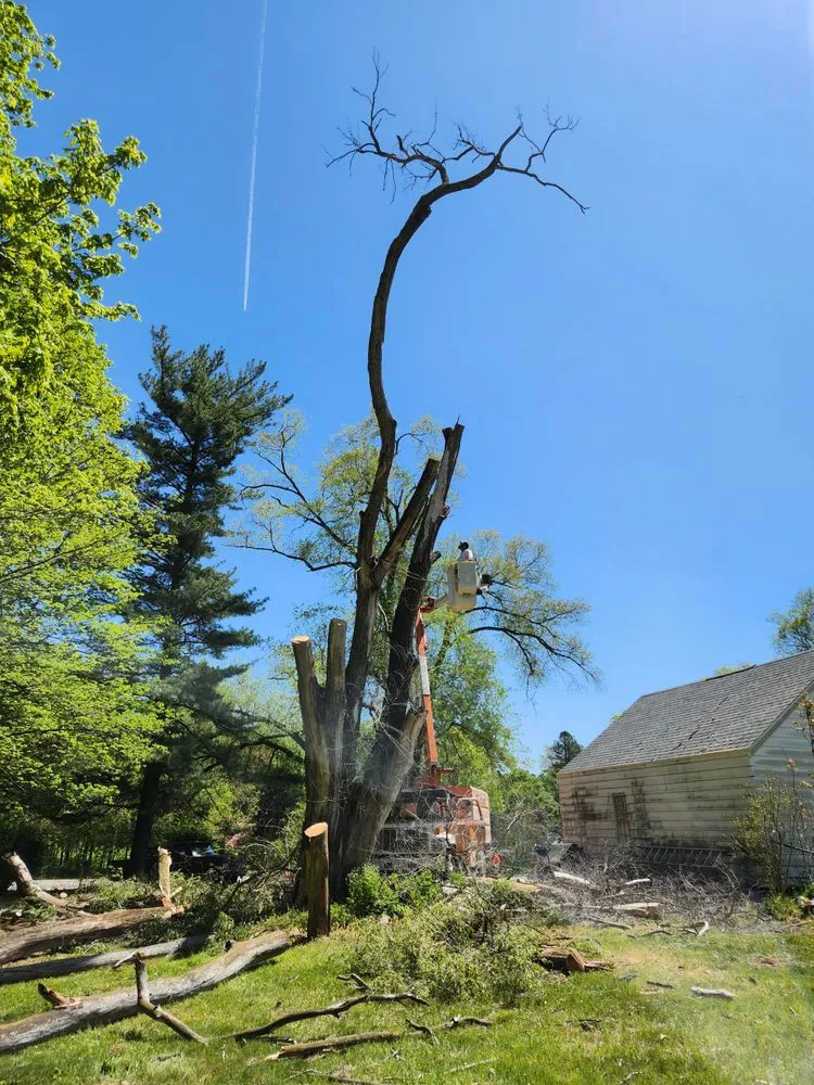 Slide of Bravo Services