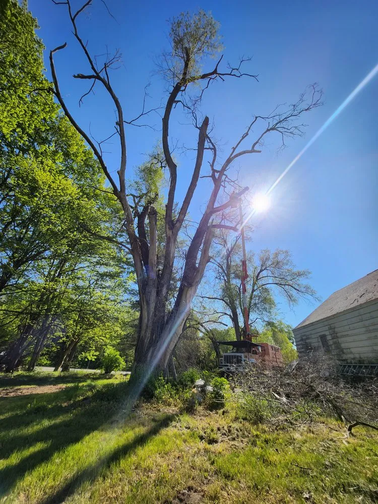 Slide of Bravo Services