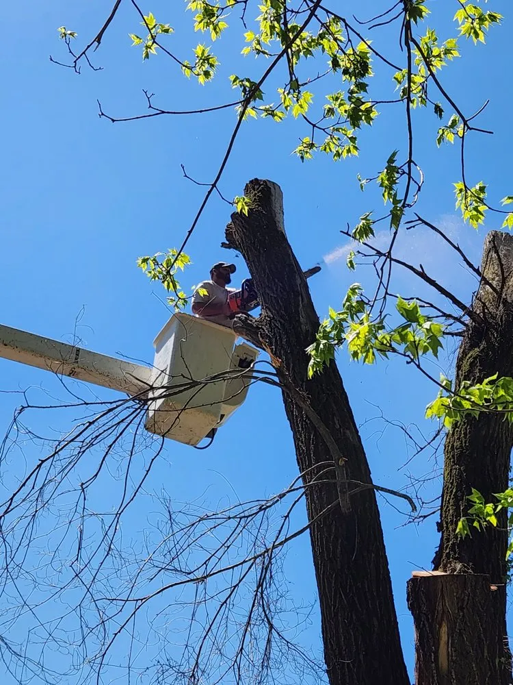 Slide of Bravo Services