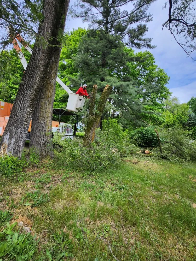 Slide of Bravo Services