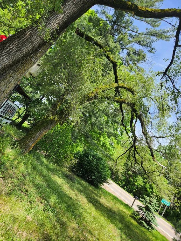 Slide of Bravo Services