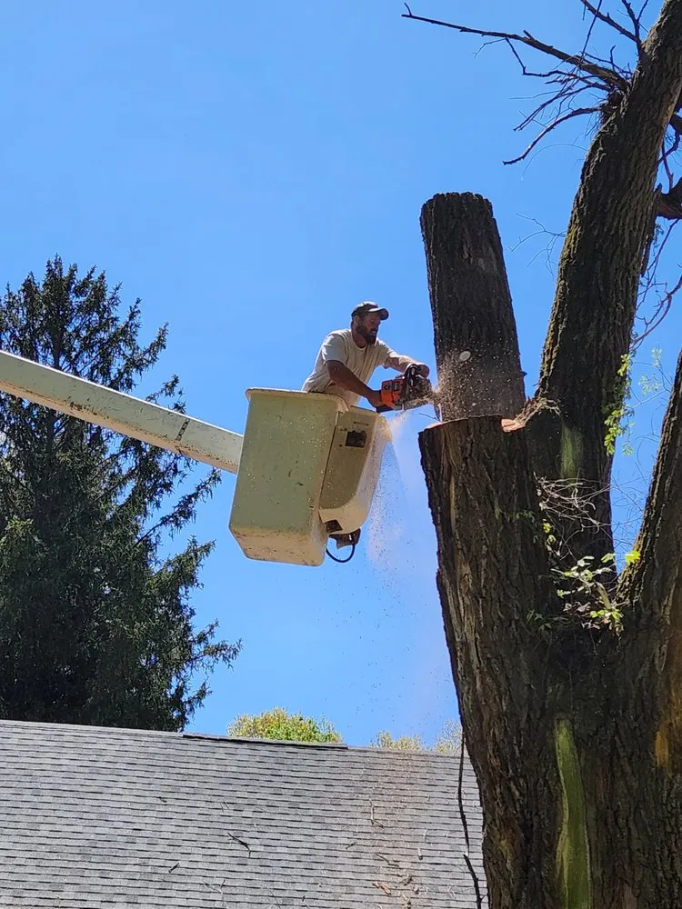 Slide of Bravo Services