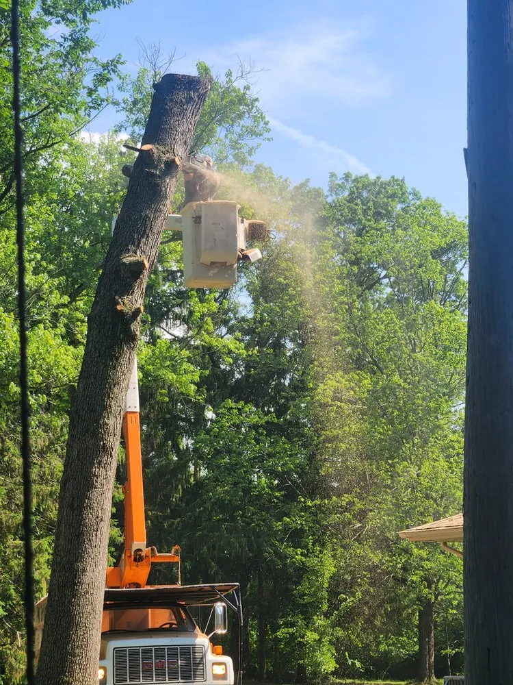 Slide of Bravo Services