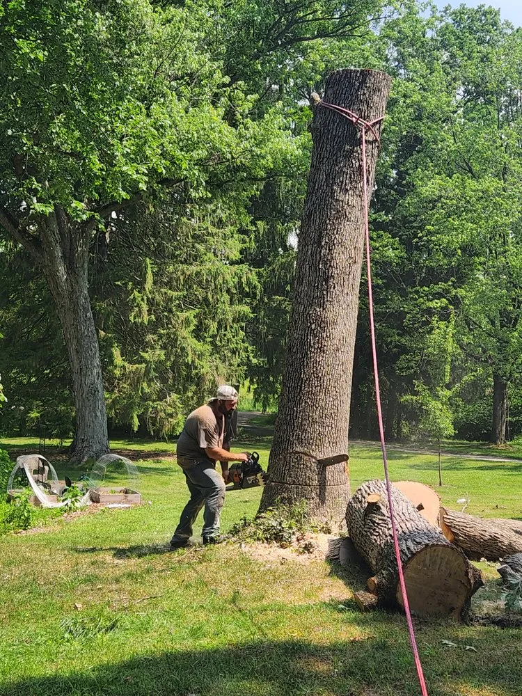 Slide of Bravo Services