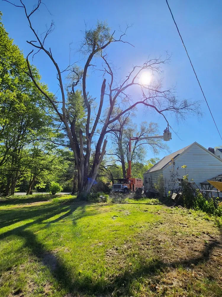 Slide of Bravo Services