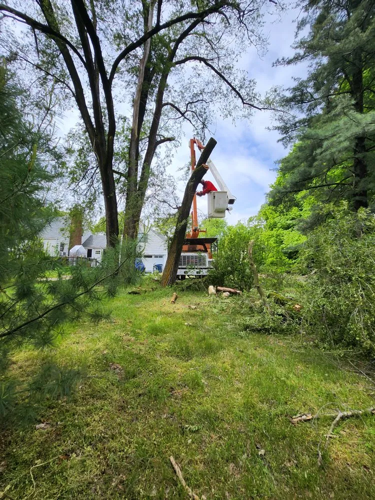 Slide of Bravo Services