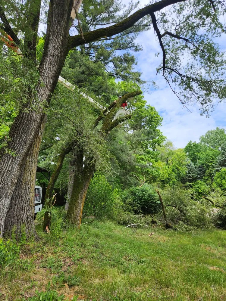 Slide of Bravo Services