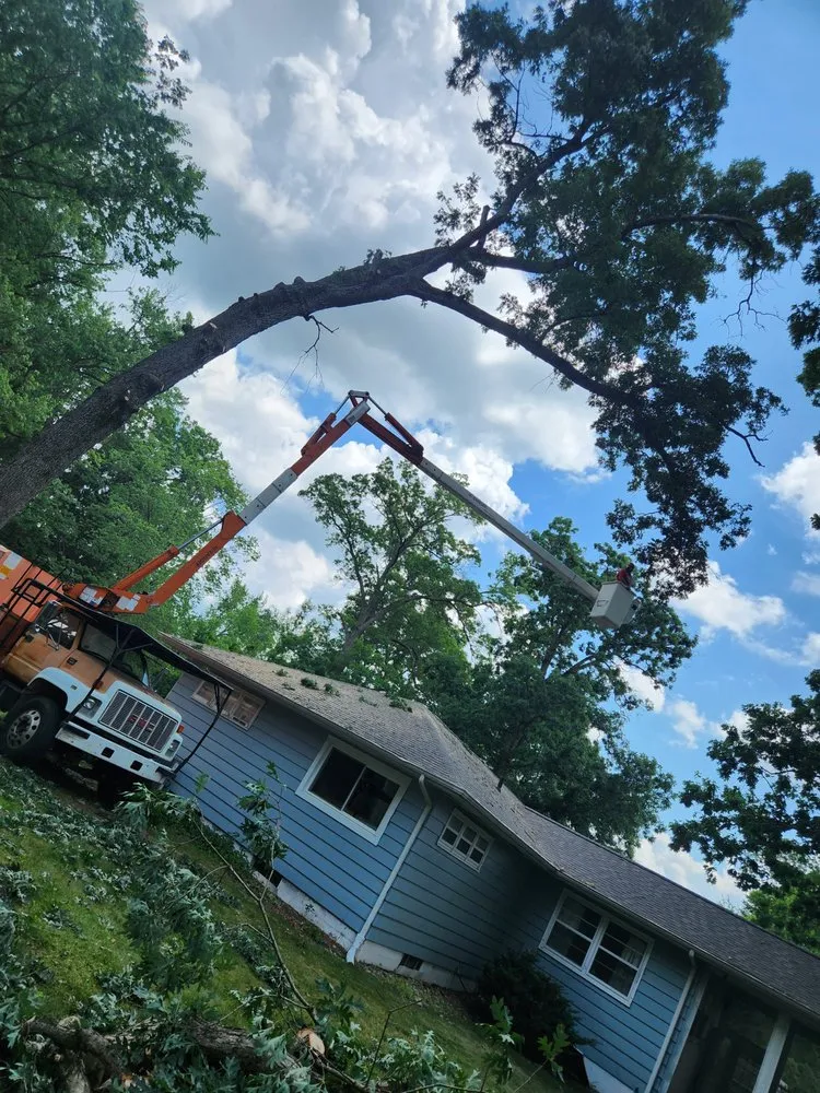 Slide of Bravo Services