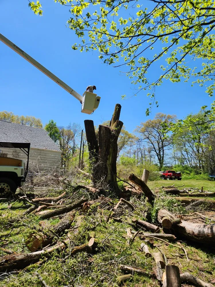 Slide of Bravo Services