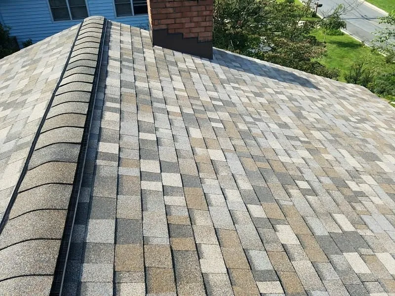 Slide of BRAX Roofing