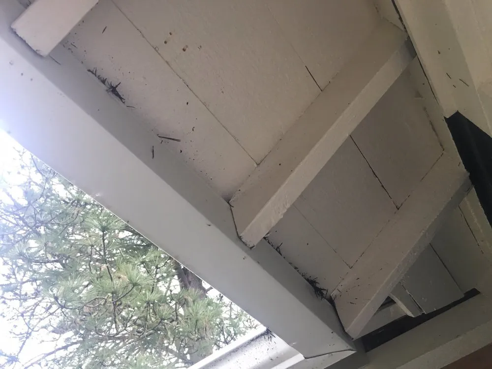 Slide of Brazil's Roofing