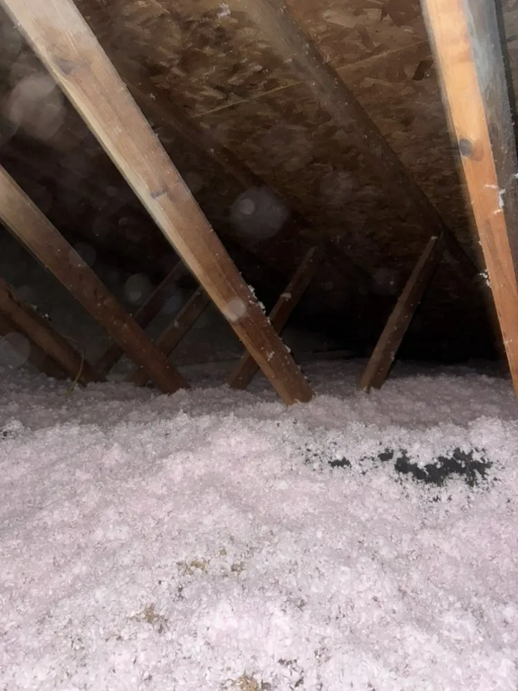 Slide of Breathe EZ Construction