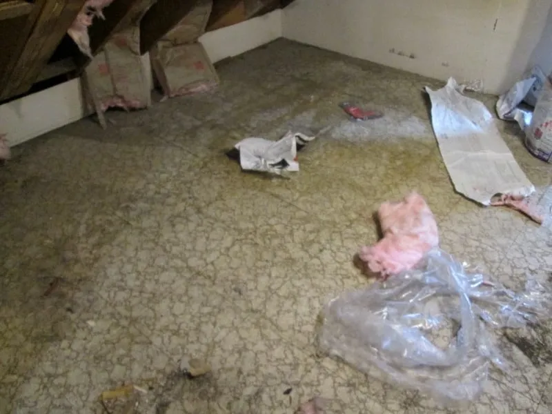 Slide of Brhomeimprovement