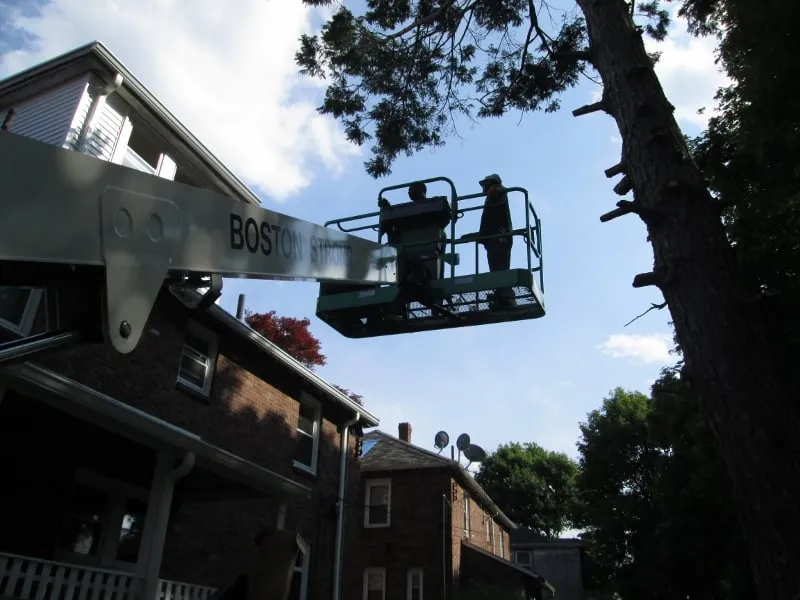 Slide of Brhomeimprovement