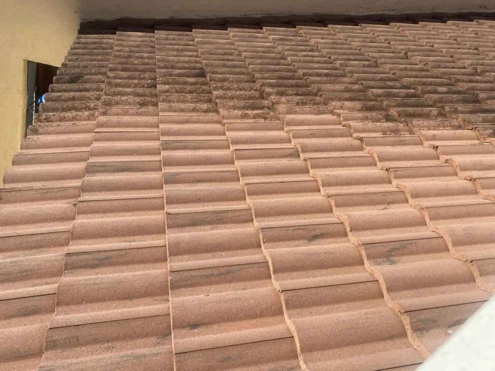 Slide of Brian Mckelton