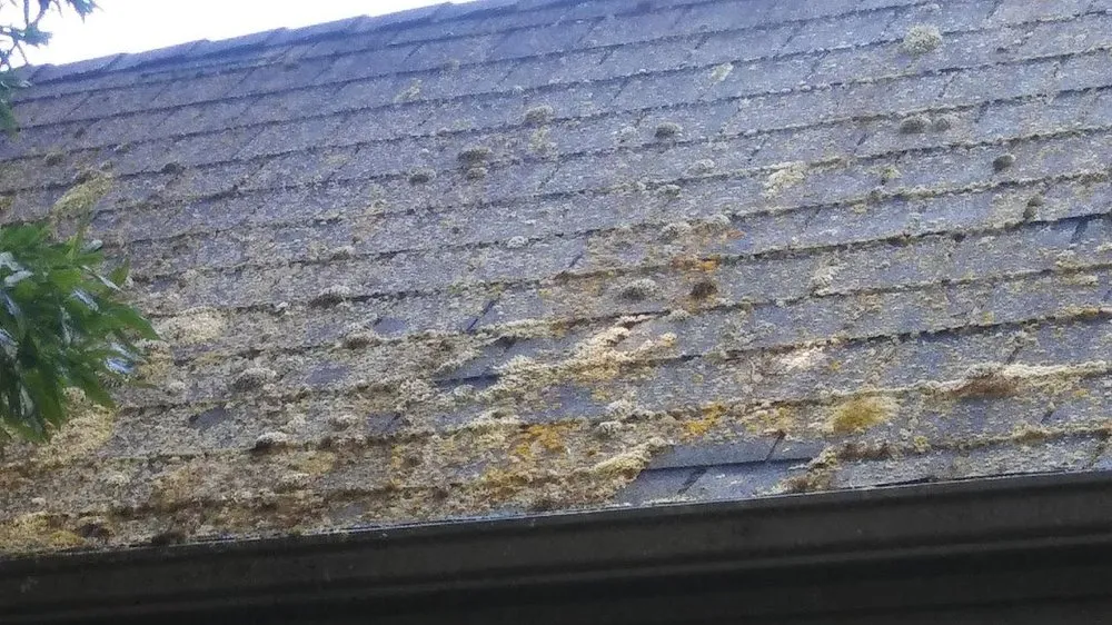 Slide of Bright Finish