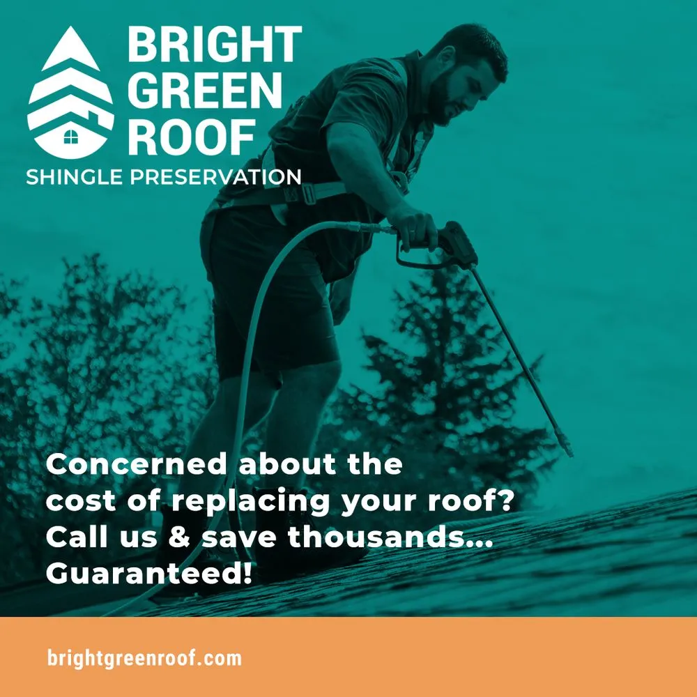 Slide of Bright Green Roof