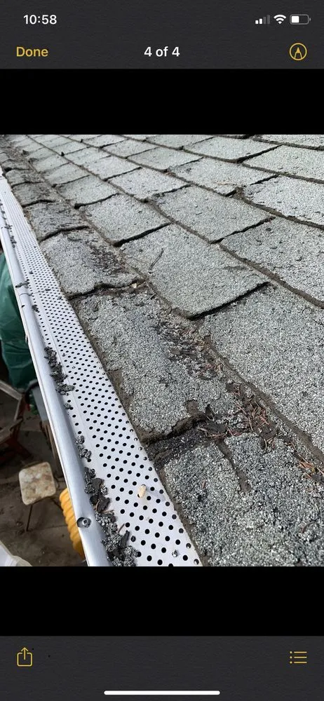 Slide of Bright Green Roof
