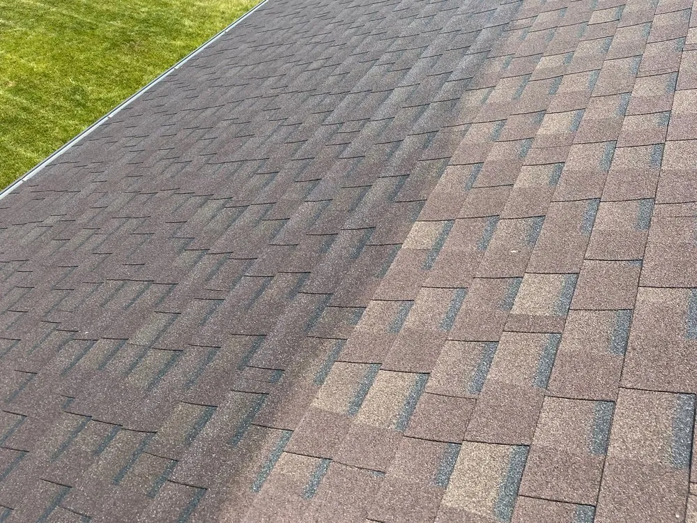 Slide of Bright Green Roof