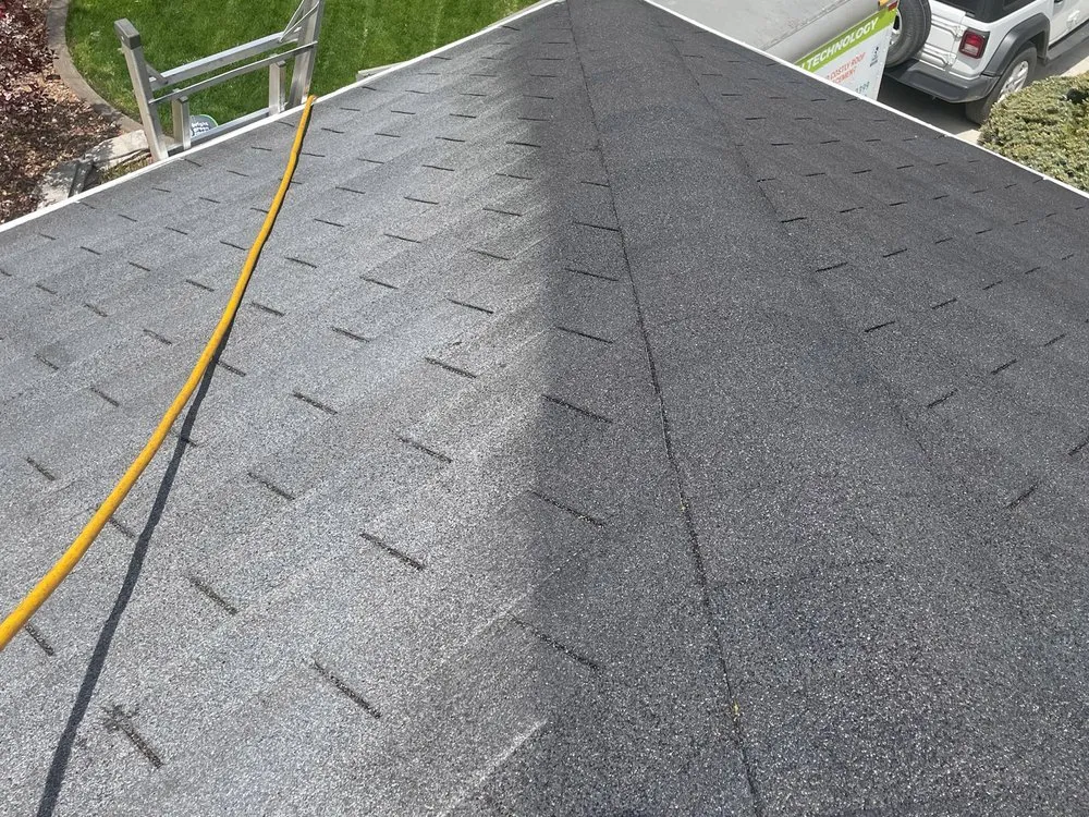 Slide of Bright Green Roof