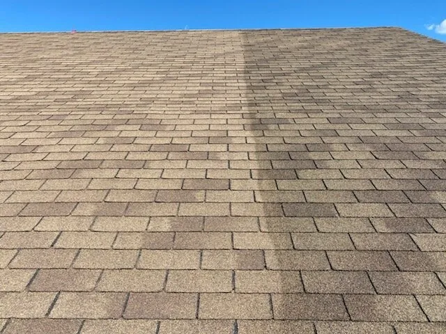 Slide of Bright Green Roof