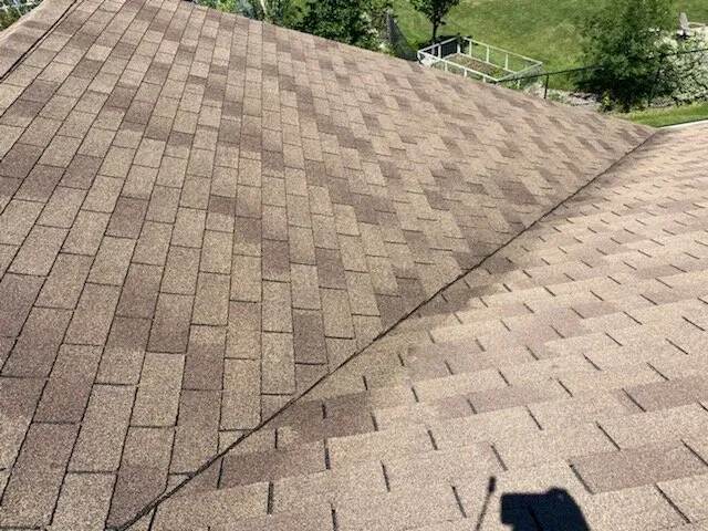 Slide of Bright Green Roof