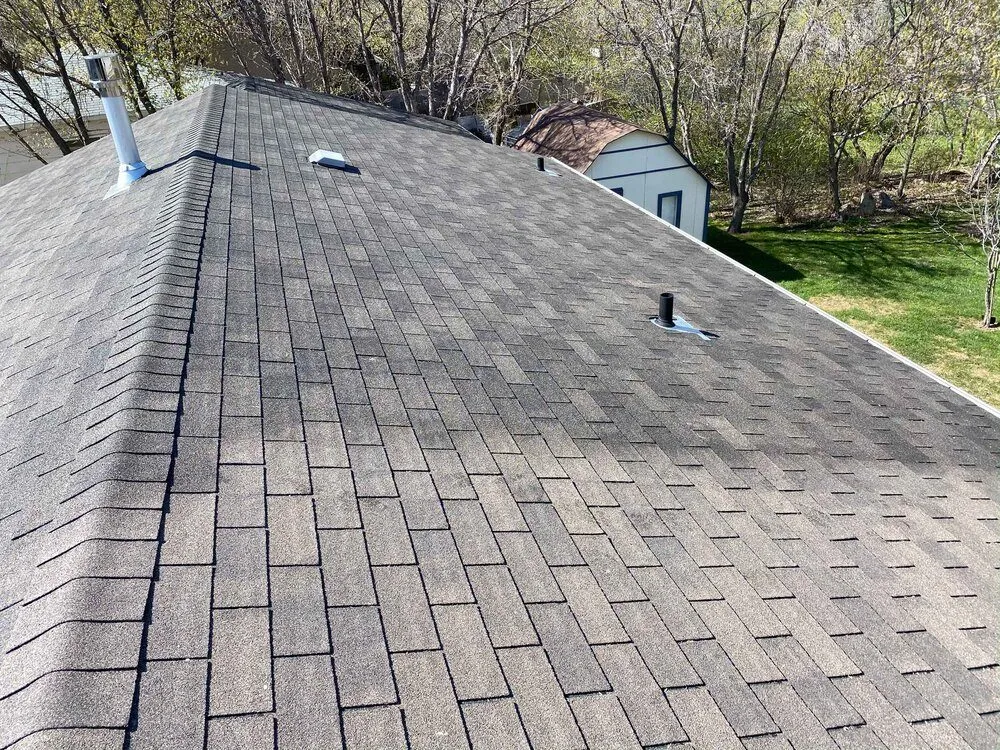 Slide of Bright Green Roof