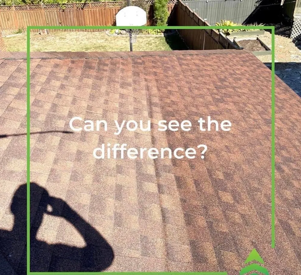 Slide of Bright Green Roof