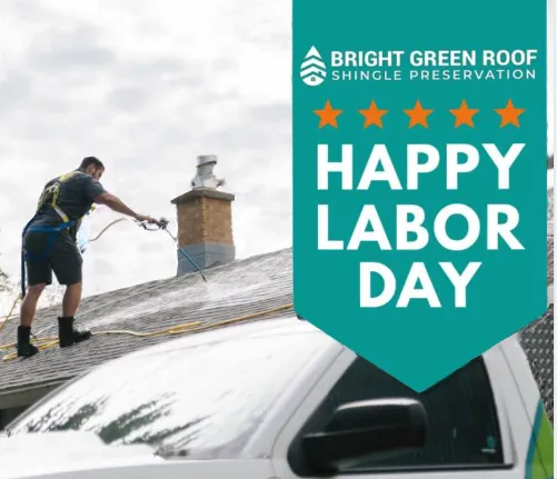 Slide of Bright Green Roof