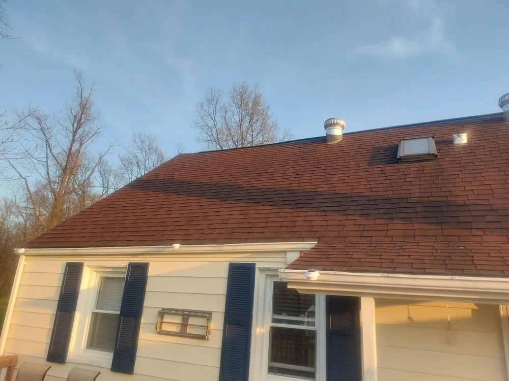 Slide of Bright Green Roof of WNY