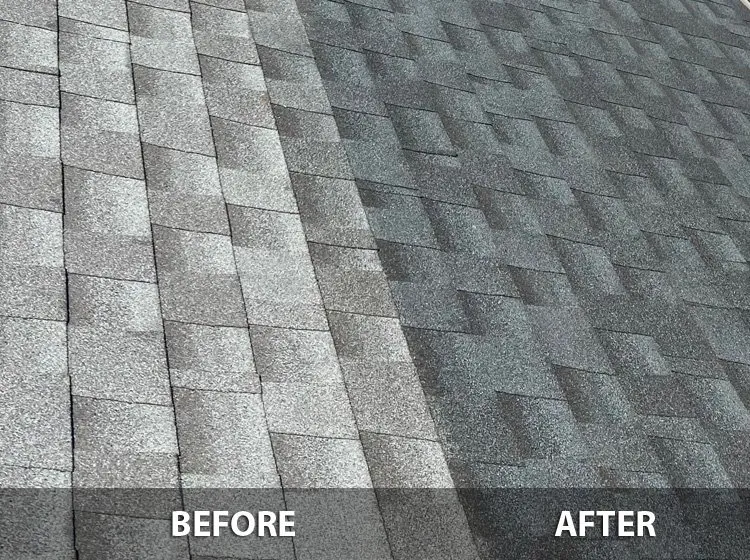 Slide of Bright Green Roof of WNY