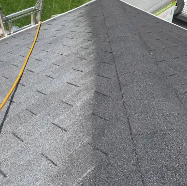 Slide of Bright Green Roof of WNY
