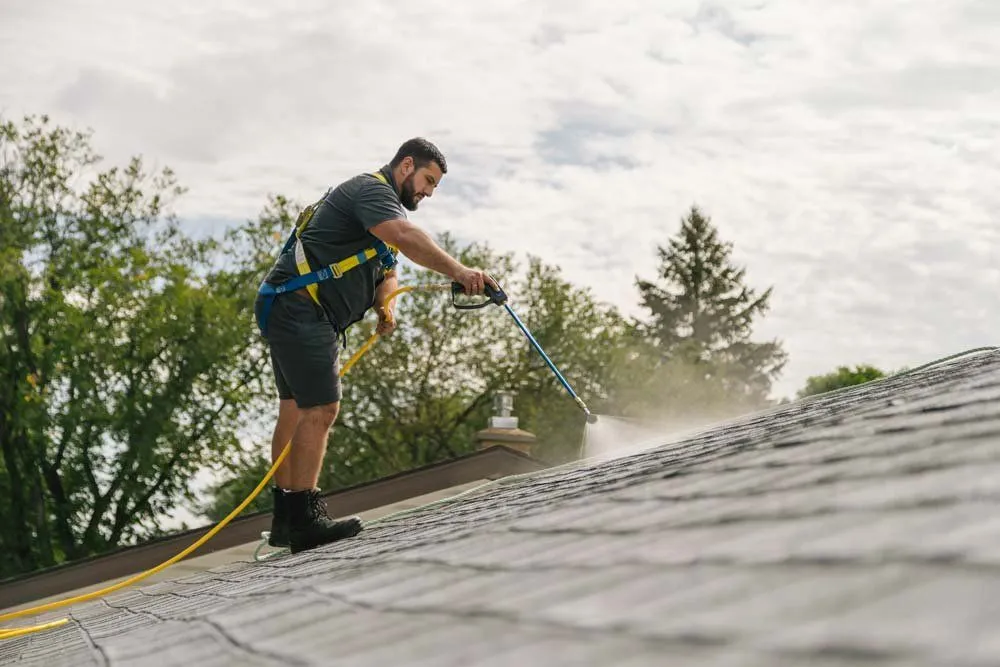Slide of Bright Green Roof of WNY