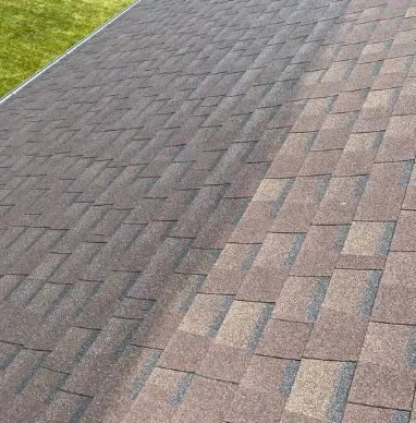 Slide of Bright Green Roof of WNY