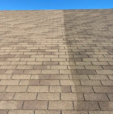 Slide of Bright Green Roof of WNY