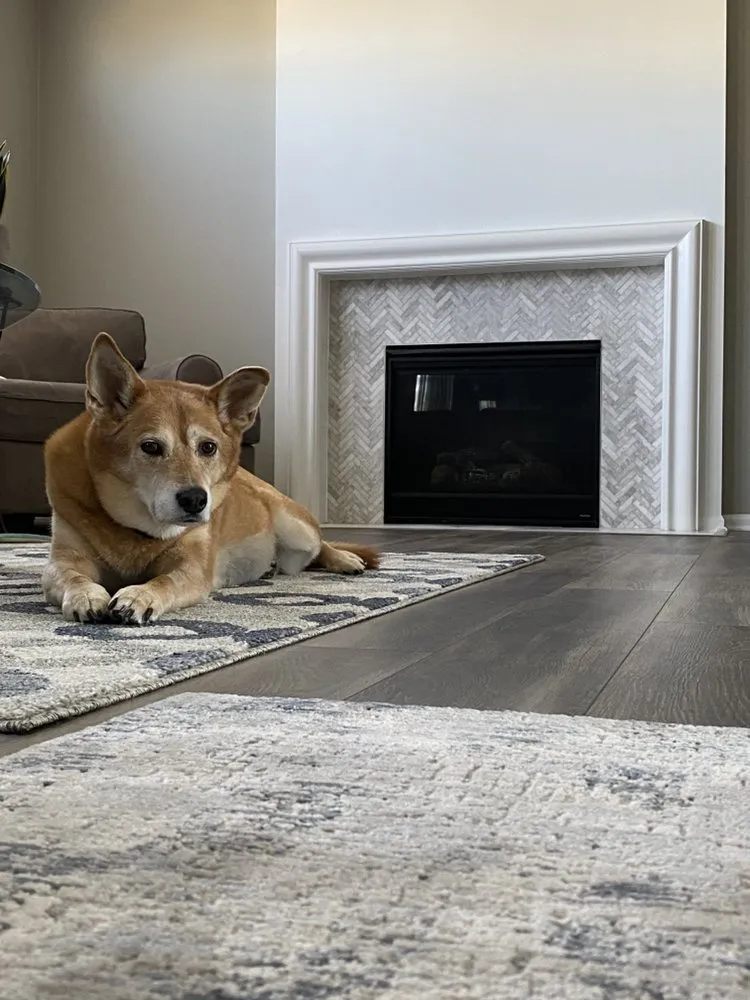 Slide of Bright Home Renovations