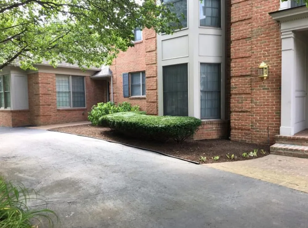 Slide of Brighter Side Solutions