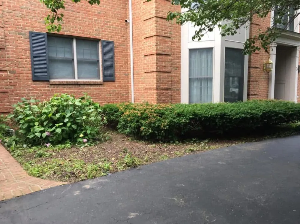 Slide of Brighter Side Solutions