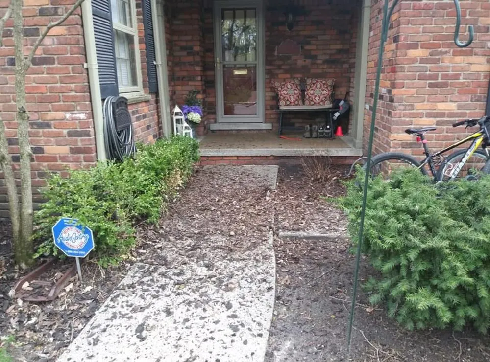 Slide of Brighter Side Solutions