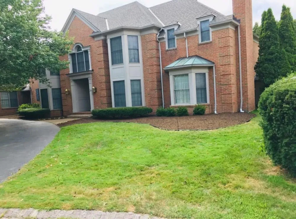 Slide of Brighter Side Solutions