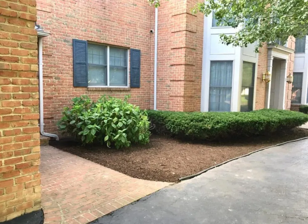 Slide of Brighter Side Solutions